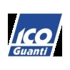 Icoguanti